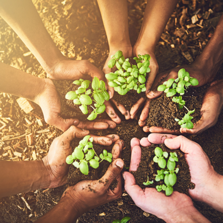 Learn Recycle : Government Support